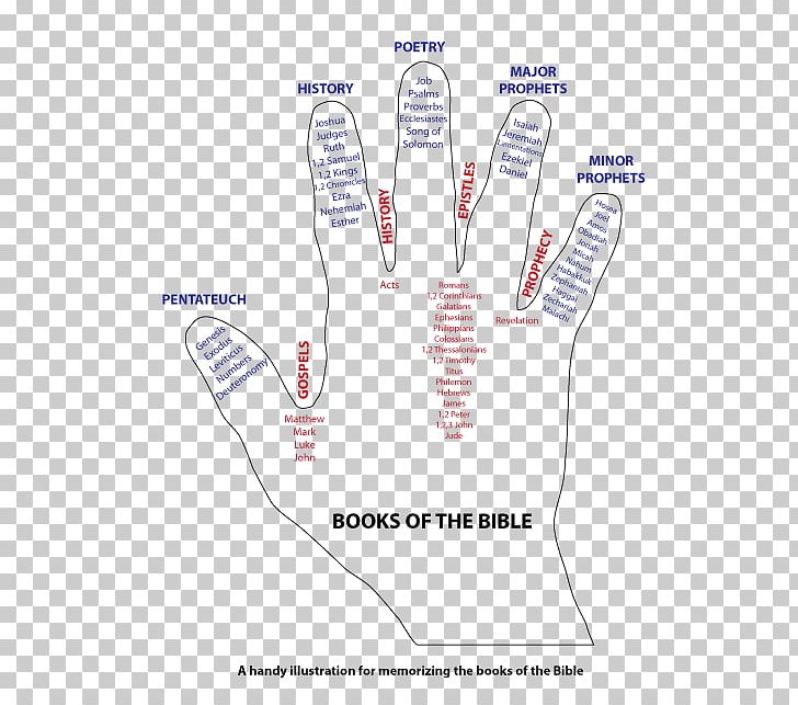 Bible Study Book Gospel Of Matthew Acts Of The Apostles PNG, Clipart, Acts Of The Apostles, Angle, Area, Bible, Bible Study Free PNG Download