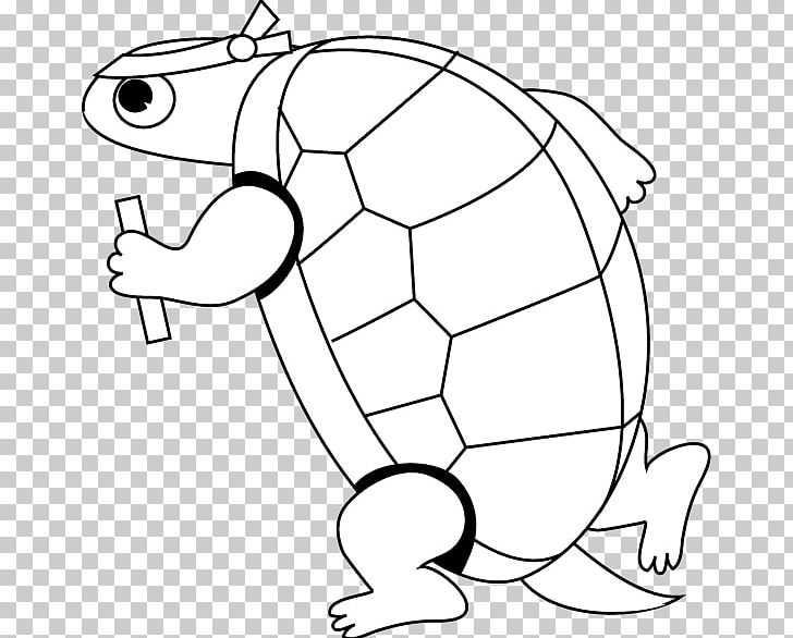 Drawing Turtle Line Art PNG, Clipart, Animals, Area, Black And White, Cartoon, Coloring Book Free PNG Download