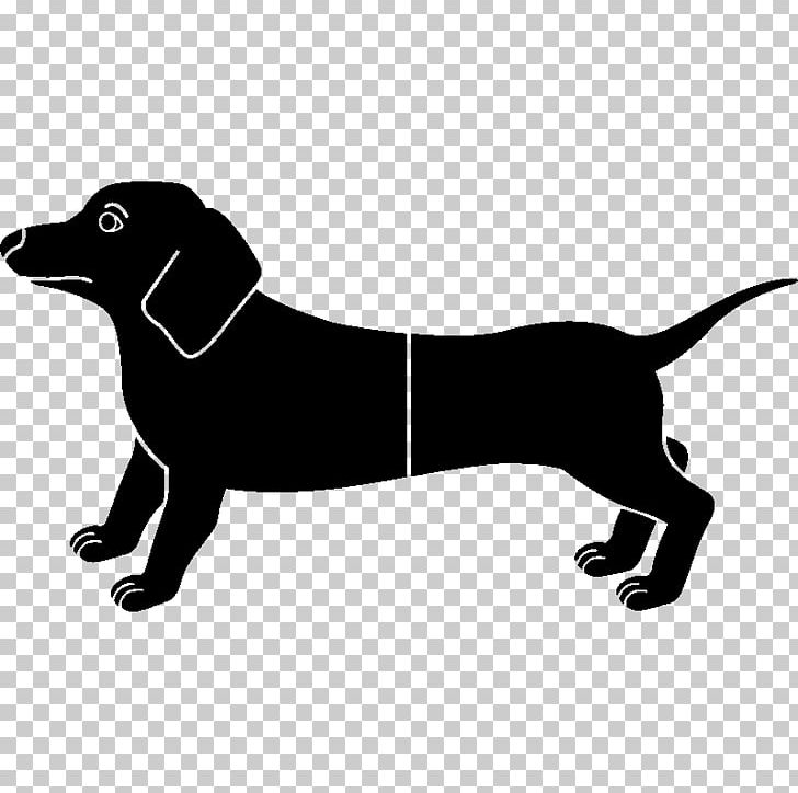 Labrador Retriever Puppy Dog Breed Leash PNG, Clipart,  Free PNG Download