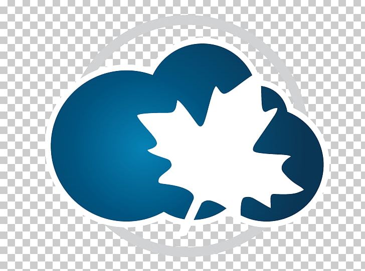 Waterloo Maple Computer Software MATLAB PNG, Clipart, Cloud Computing Logo, Computer, Computer Software, Data, Data Processing Free PNG Download