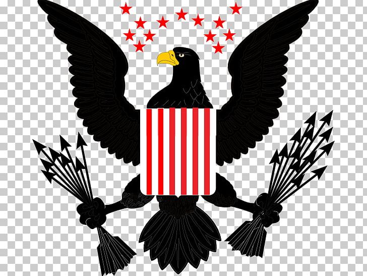 Bald Eagle White-tailed Eagle PNG, Clipart, Animals, Bald Eagle, Beak, Bird, Computer Icons Free PNG Download