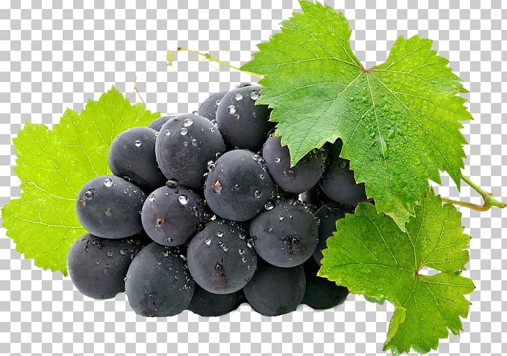 Common Grape Vine Fruit PNG, Clipart, Berry, Bilberry, Blueberry, Common Grape Vine, Desktop Wallpaper Free PNG Download