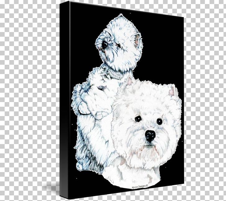 Maltese Dog West Highland White Terrier Puppy Bichon Frise Dog Breed PNG, Clipart, Bichon, Bichon Frise, Breed, Cafepress, Carnivoran Free PNG Download