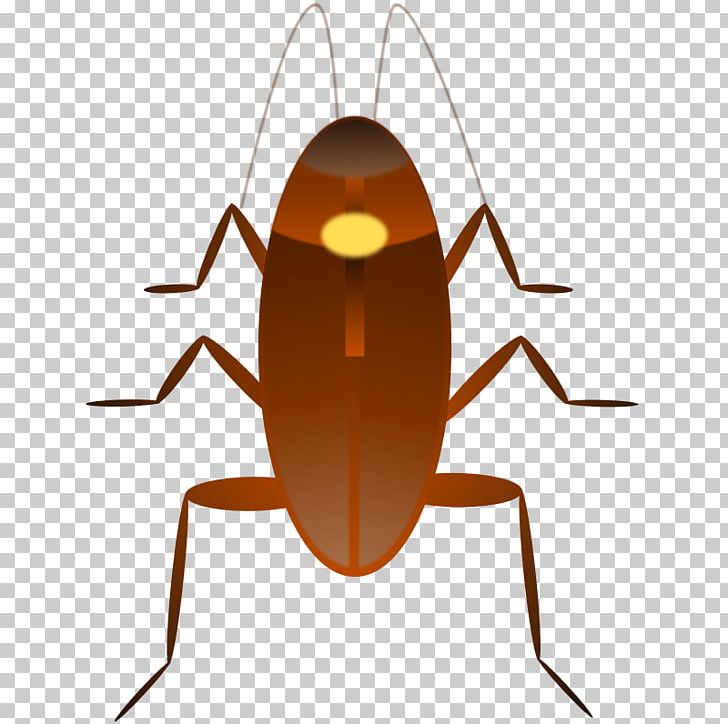 Dr. Cockroach PNG, Clipart, American Cockroach, Animals, Arthropod, Blog, Cockroach Free PNG Download