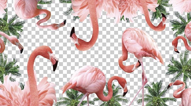 Fashion Blog Model Fashion Show Make-up Artist PNG, Clipart, Animals, Beak, Beauty, Bird, Crop Top Free PNG Download