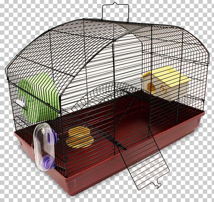 Hamster Guinea Pig Cage Rodent Pet PNG, Clipart, Animal, Bebedouro, Burrow, Cage, Guinea Pig Free PNG Download