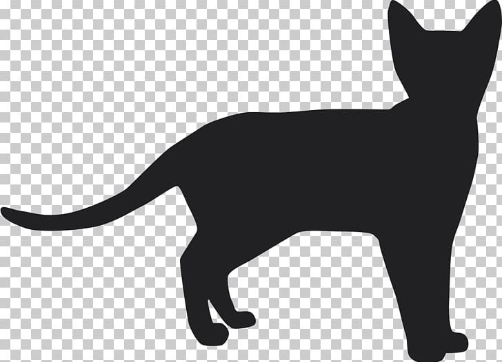 Kitten Whiskers Domestic Short-haired Cat Dog PNG, Clipart, Animals, Black, Black And White, Black Cat, Breed Free PNG Download