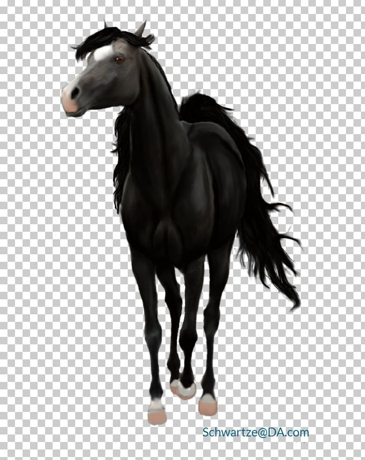 Mustang Stallion Mare Halter Pack Animal PNG, Clipart, Fumes, Halter, Horse, Horse Like Mammal, Horse Supplies Free PNG Download