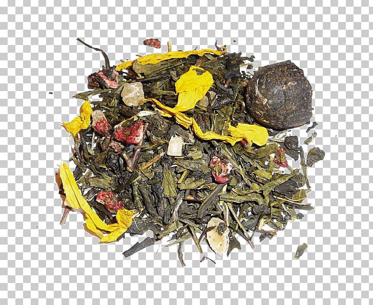 Nilgiri Tea Romeritos Oolong Tea Plant PNG, Clipart, Assam Tea, Bancha, Ceylon Tea, Chun Mee Tea, Da Hong Pao Free PNG Download