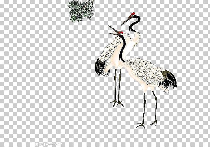 Red-crowned Crane PNG, Clipart, Beak, Bird, Birds, Cartoon, Ciconiiformes Free PNG Download