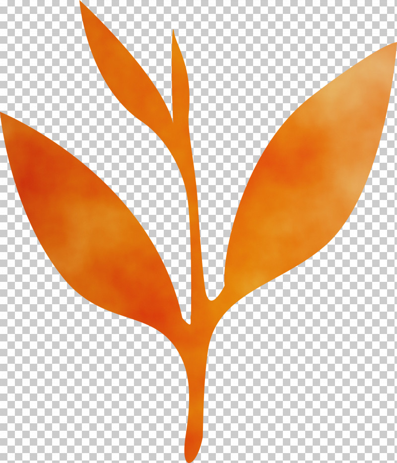 Bird Of Paradise PNG, Clipart, Bird Of Paradise, Flower, Leaf, Logo, Orange Free PNG Download