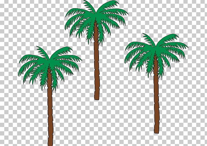 Arecaceae Date Palm Tree Plant PNG, Clipart, Arecaceae, Arecales, Asian Palmyra Palm, Borassus Flabellifer, Coconut Free PNG Download