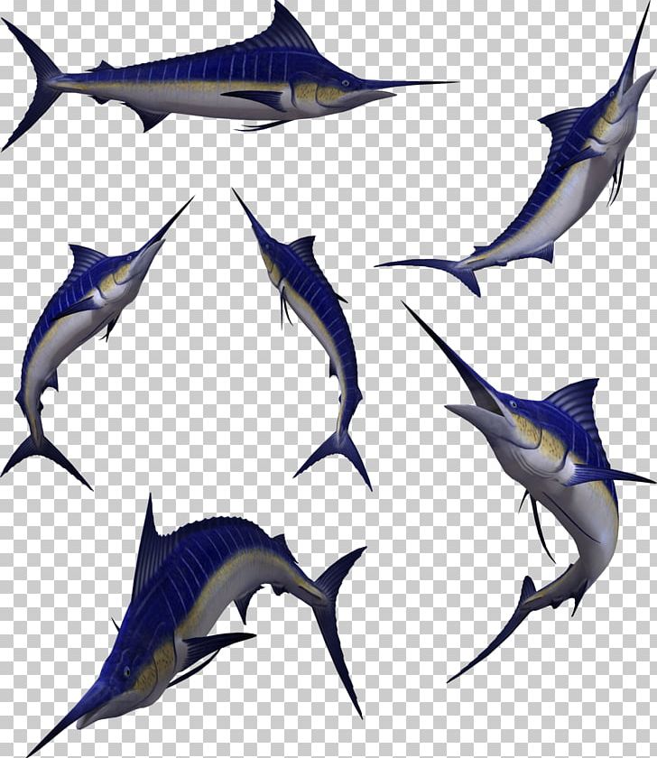 Swordfish Atlantic Blue Marlin PNG, Clipart, Animal, Animals, Atlantic Blue Marlin, Billfish, Bony Fish Free PNG Download