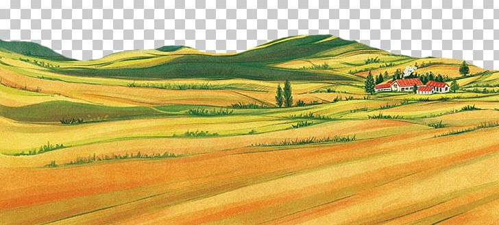 The Wheat Field Rural Area PNG, Clipart, Agriculture, Artworks, Camping, Crop, Ecoregion Free PNG Download