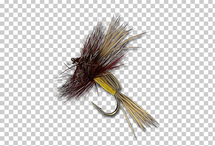 Artificial Fly Pest PNG, Clipart, Artificial Fly, Dry Fly Fishing, Fishing Bait, Invertebrate, Others Free PNG Download