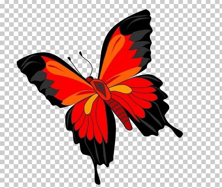 Butterfly PNG, Clipart, Blue Butterfly, Brush Footed Butterfly, Butterflies, Butterfly Group, Cartoon Free PNG Download