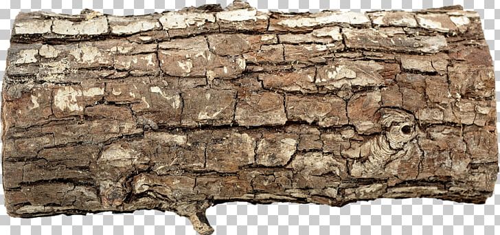 Trunk Tree Stump Snag Wood PNG, Clipart, Birch, Bogwood, Data Compression, Frame And Panel, Lossless Compression Free PNG Download