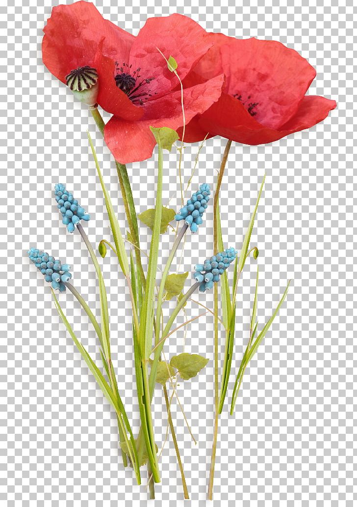Birthday Poppy Flower Watercolor Painting PNG, Clipart, Art, Artificial Flower, Birthday, Coquelicot, Cut Flowers Free PNG Download