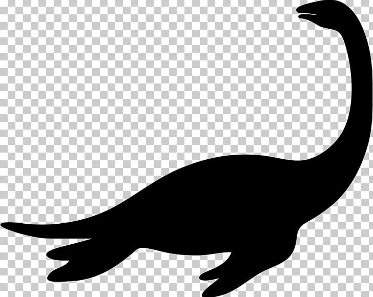 Tyrannosaurus Dinosaur Citipati Daspletosaurus Bird PNG, Clipart, Animal, Beak, Bird, Black And White, Citipati Free PNG Download