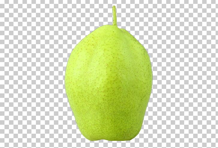 Pear Lime Auglis Green PNG, Clipart, Auglis, Citron, Citrus, Color, Download Free PNG Download