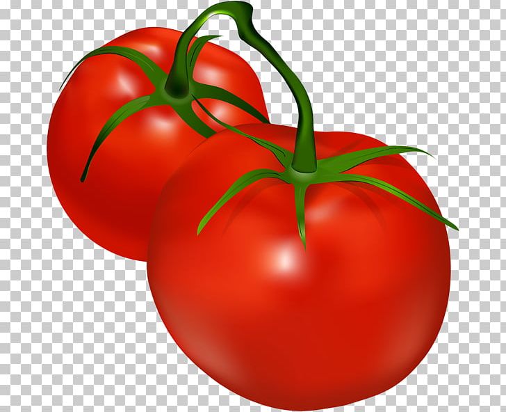 Shalgam Vegetable Cherry Tomato PNG, Clipart, Apple, Bell Pepper, Bush Tomato, Cherry Tomato, Computer Icons Free PNG Download