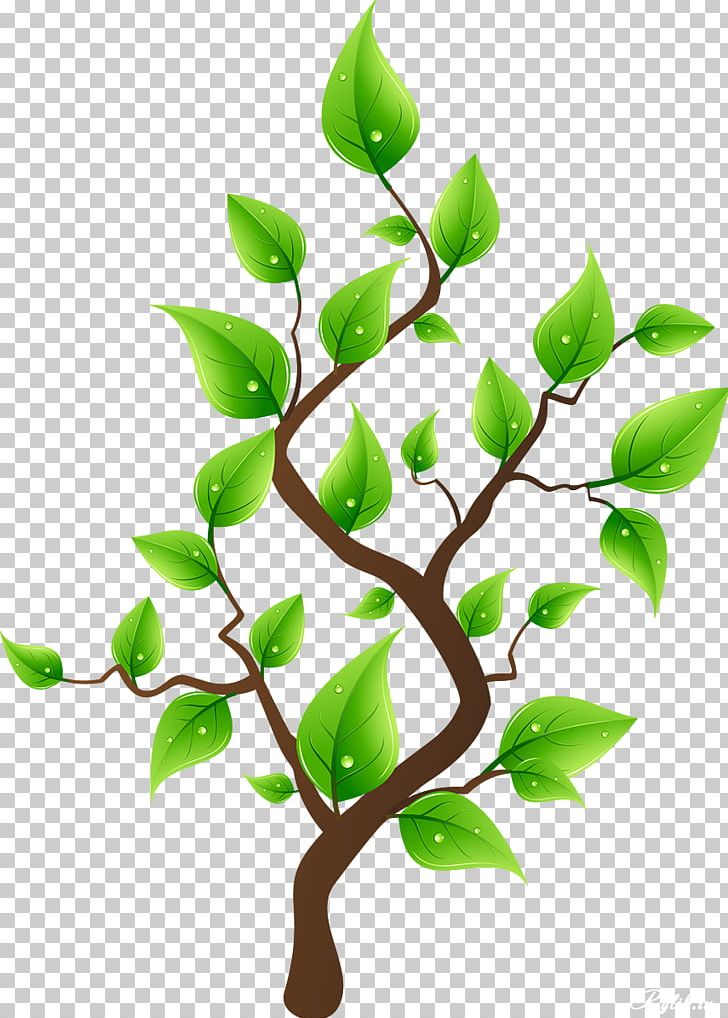 Tree Planting Drawing PNG, Clipart, Animation, Branch, Cartoon, Clip