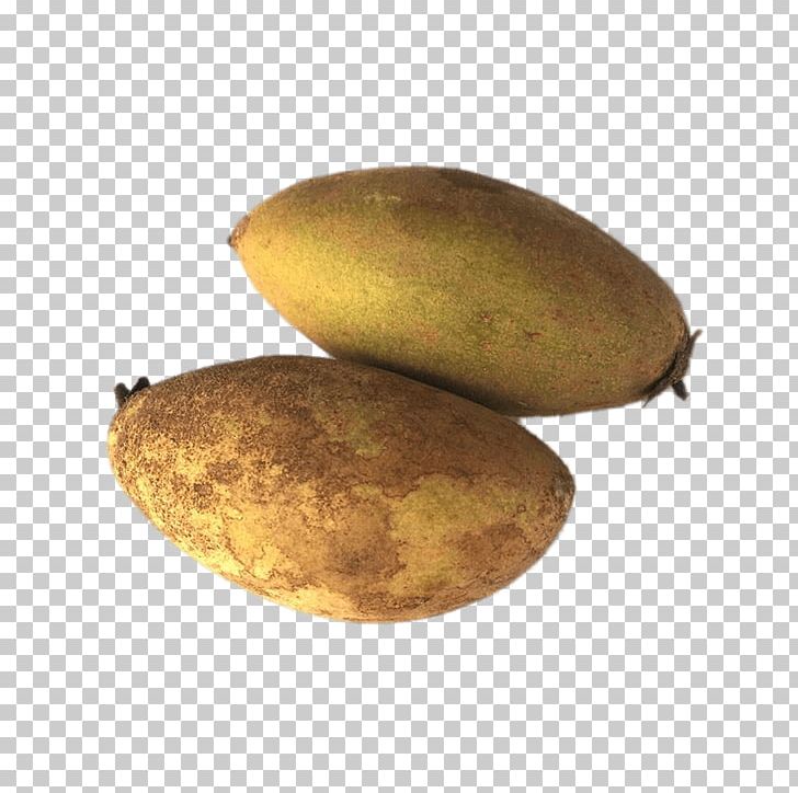 Tropical Fruit Sapodilla Food PNG, Clipart, Allow, Cempedak, Commodity, Computer Software, Coreldraw Free PNG Download