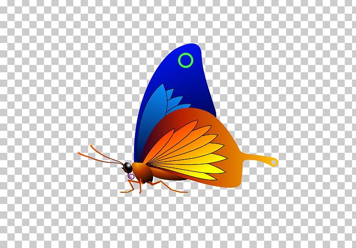 Butterfly QML Drop Shadow Qt PNG, Clipart, Arthropod, Brush Footed Butterfly, Column, Effect, Graphical User Interface Free PNG Download