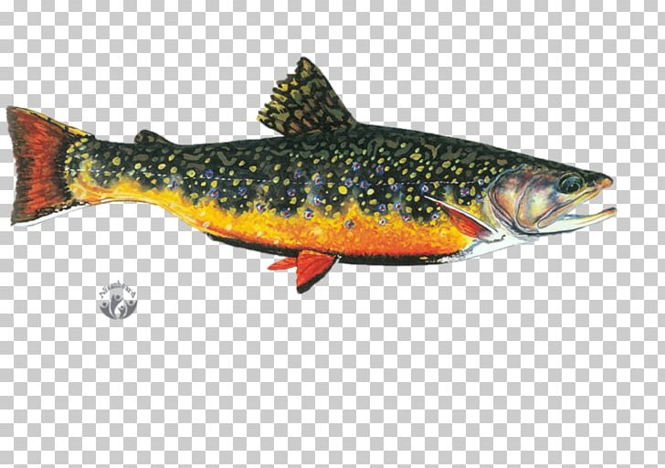 Simple Fly Fishing Techniques For Tenkara And Rod Reel Brook