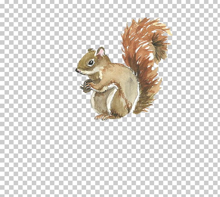 Squirrel Watercolor Painting Template PNG, Clipart, Adobe Illustrator, Animals, Cartoon Squirrel, Chipmunk, Coreldraw Free PNG Download
