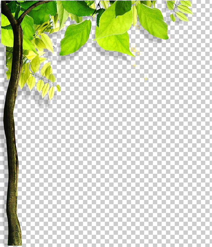 Green Leaf Angle PNG, Clipart, Angle, Autumn Tree, Branch, Christmas Tree, Color Free PNG Download