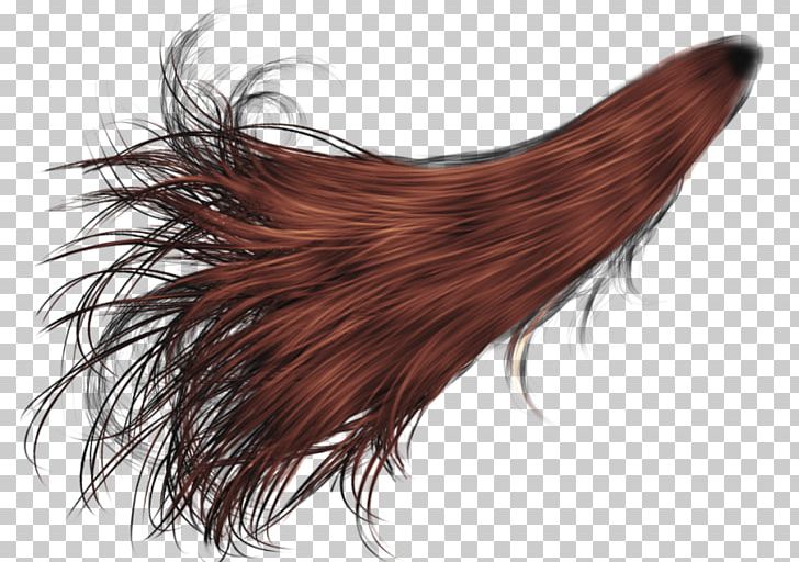 Hairstyle Red Hair Blue Hair PNG, Clipart, Artificial Hair Integrations, Beard, Blond, Blue Hair, Brown Hair Free PNG Download