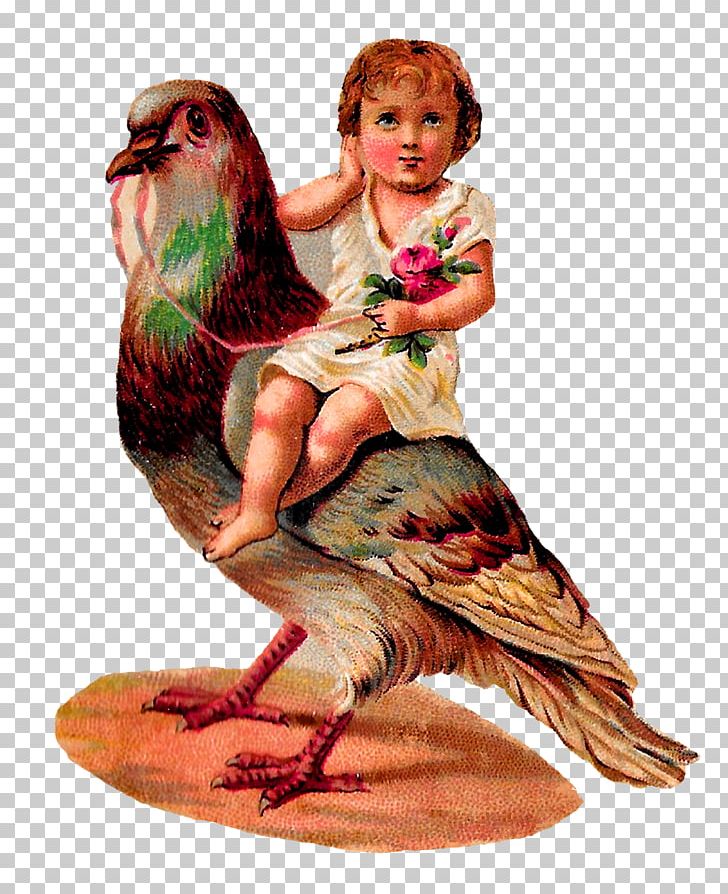 Bird Chicken Galliformes PNG, Clipart, Animal, Animals, Antique, Beak, Bird Free PNG Download