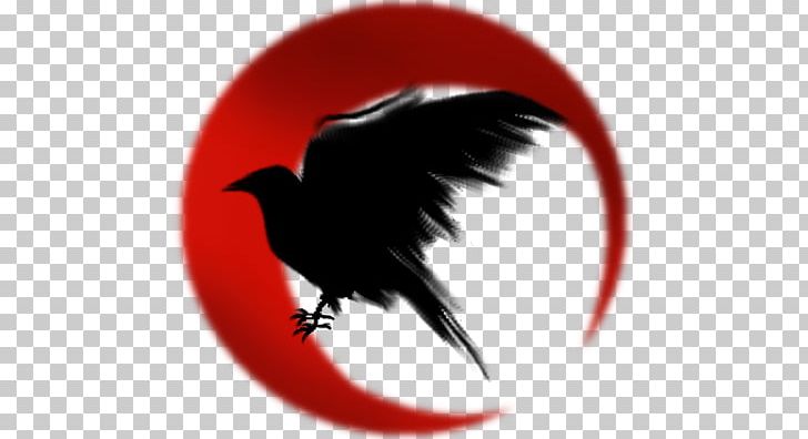 Common Raven Symbol The Raven Meaning PNG, Clipart, Art, Beak, Common Raven, Computer Wallpaper, Crow Free PNG Download