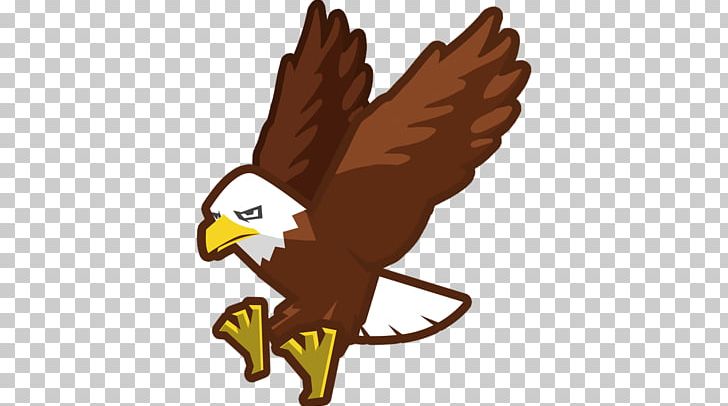 Eagle Hawk Beak Chicken As Food PNG, Clipart, Animals, Beak, Bejeweled, Bird, Bird Of Prey Free PNG Download