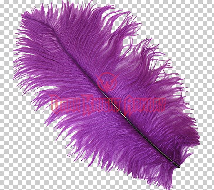 Feather Common Ostrich Violet Bird Purple PNG, Clipart, Animals, Bird, Color, Colored Ostrich Feathers, Common Ostrich Free PNG Download