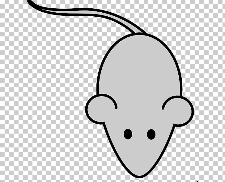 Laboratory Mouse Drawing PNG, Clipart, Animals, Animation, Area, Art, Black And White Free PNG Download