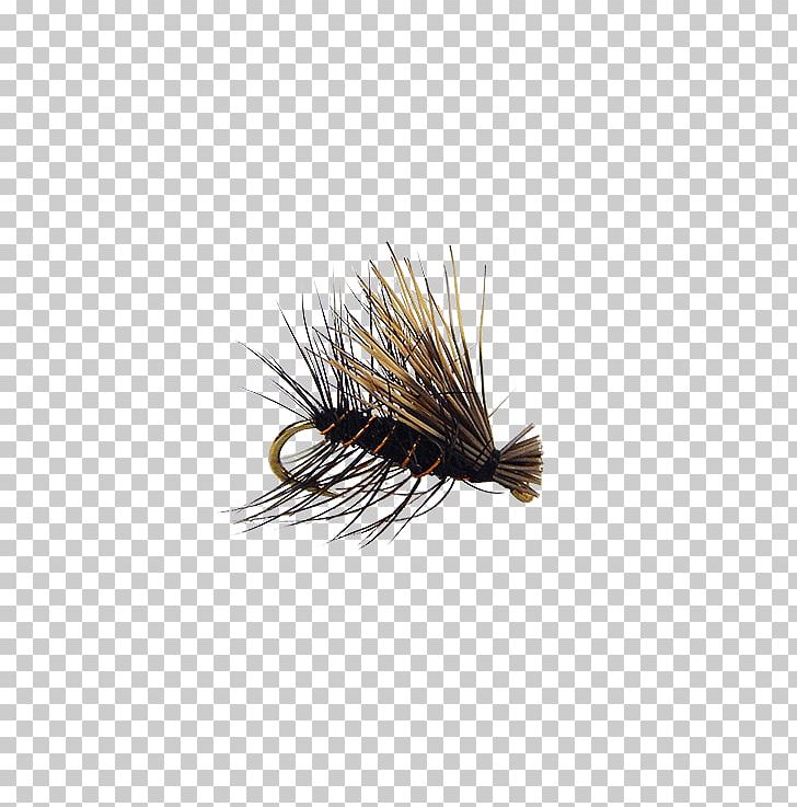 Midge Magic Elk Hair Caddis Artificial Fly PNG, Clipart, Artificial Fly, Black Fly, Elk, Elk Hair Caddis, Fly Free PNG Download