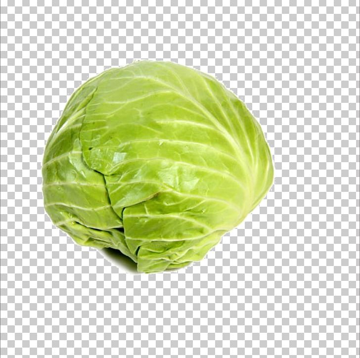 Cabbage Leaf Vegetable Food PNG, Clipart, Cabbage, Chinese Cabbage, Creative, Ecology, Food Free PNG Download