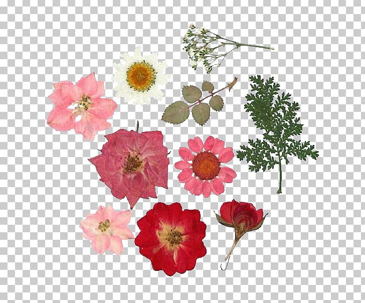 Pressed Flower Craft Collage Flower Bouquet Greeting & Note Cards PNG, Clipart, Amp, Annual Plant, Artificial Flower, Car, Collage Free PNG Download