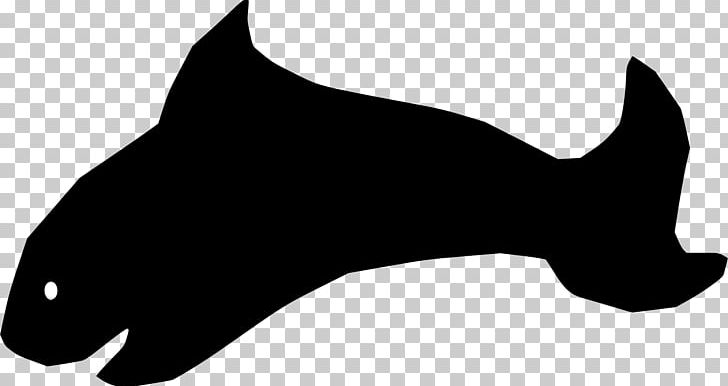 Whiskers Cat Marine Mammal Dog PNG, Clipart, Animals, Black, Black And White, Black M, Byte Free PNG Download