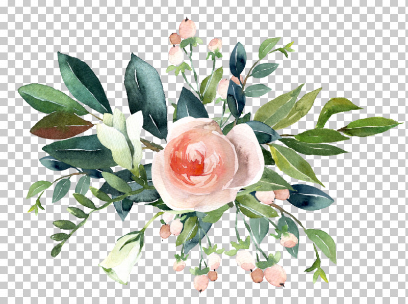Rose PNG, Clipart, Bouquet, Branch, Cut Flowers, Flower, Pink Free PNG Download