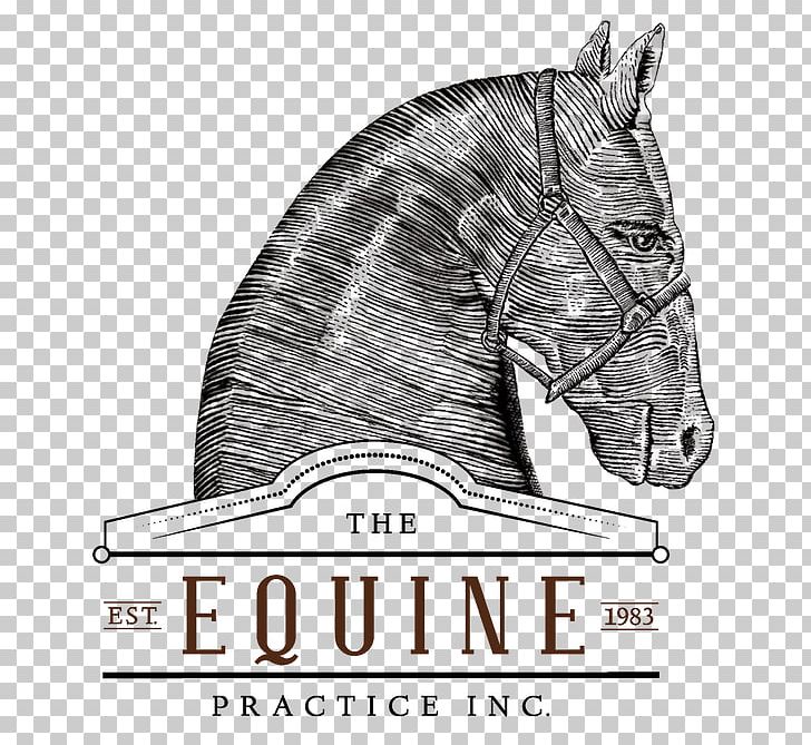 Mustang Stallion Join-up Doma Gentile Equine Nutrition PNG, Clipart, Black And White, Dentistry, Doma Gentile, Domestication, Drawing Free PNG Download