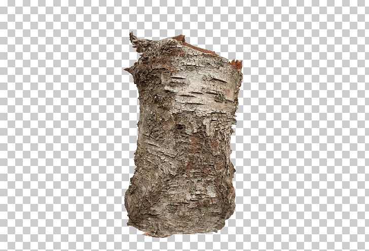 Trunk Bark Birch Tree Wood PNG, Clipart, Artifact, Bark, Berken, Birch, Birch Bark Free PNG Download