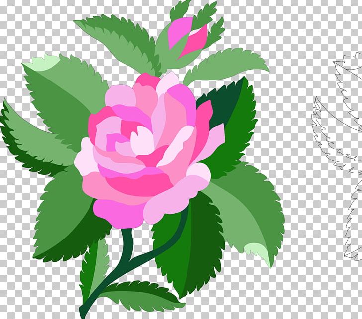 Damask Rose Black Rose PNG, Clipart, Black Rose, Color, Computer Icons, Damask, Damask Rose Free PNG Download