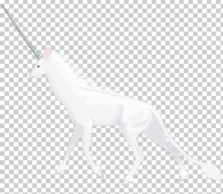 Macropodidae Deer White Drawing Mammal PNG, Clipart, Animal, Animals, Black, Black And White, Canidae Free PNG Download