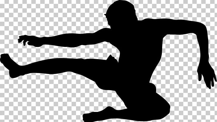 Silhouette Karate Kick PNG, Clipart, Animals, Arm, Black, Black And White, Chinese Martial Arts Free PNG Download