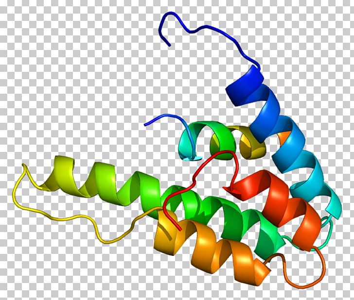 SIN3A Zinc Finger And BTB Domain-containing Protein 16 Gene Amphiphile PNG, Clipart, 3 A, 60s Ribosomal Protein L11, Amphiphile, Artwork, Body Jewelry Free PNG Download