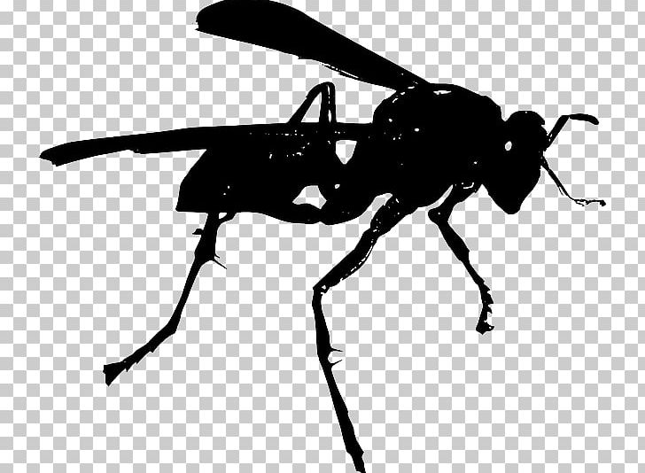 Bee Hornet Wasp PNG, Clipart, Ant, Arthropod, Bee, Black And White, Fly Free PNG Download