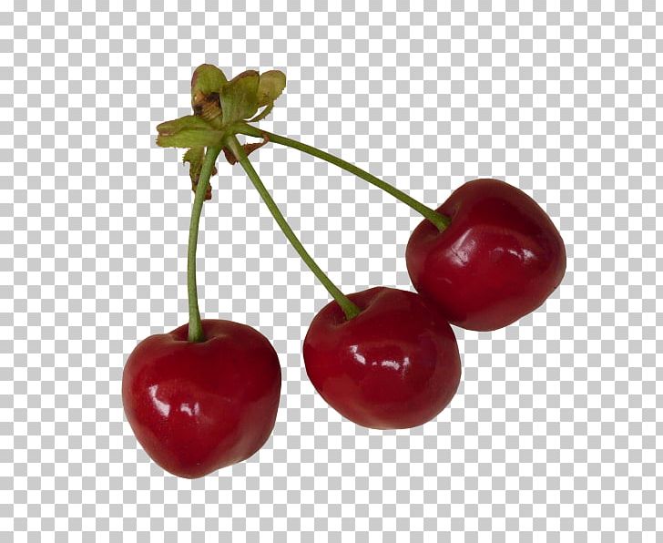 Cherry Auglis Berry PNG, Clipart, Acerola, Cerise, Cherries, Cherry Blossom, Cherry Blossoms Free PNG Download